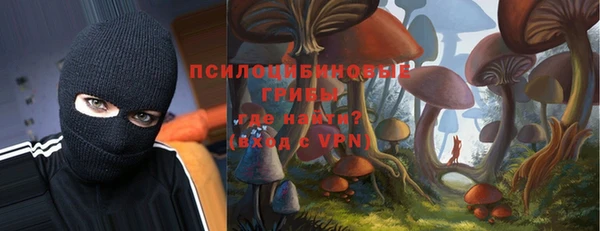 стафф Алексин